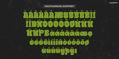 Boogy Rookie Font Poster 11