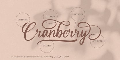 Cranberry Juice Font Poster 2
