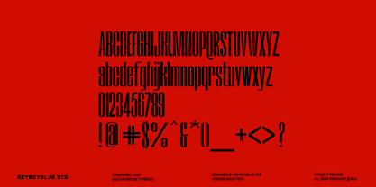 RB Struic Font Poster 15