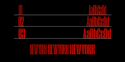 RB Struic Font Poster 14