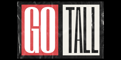 RB Struic Font Poster 11