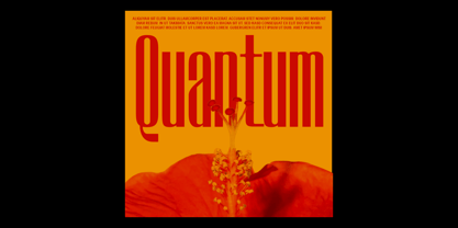 RB Struic Font Poster 5