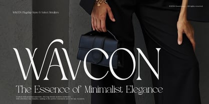 Evoxsy Font Poster 4