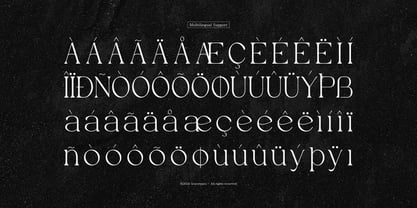 Evoxsy Font Poster 11