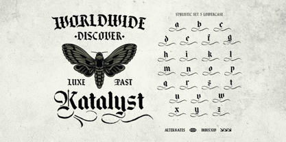 Black Male Font Poster 14