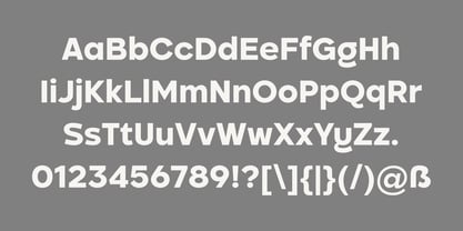 Pogonia Font Poster 6