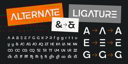 Pogonia Font Poster 11