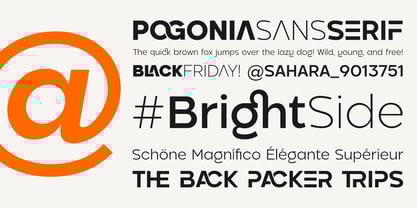 Pogonia Font Poster 12