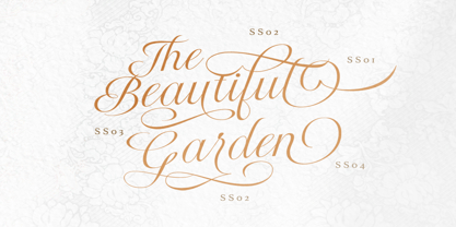 Radiate Script Font Poster 3