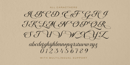 Radiate Script Font Poster 12