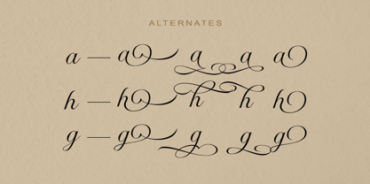 Radiate Script Font Poster 9