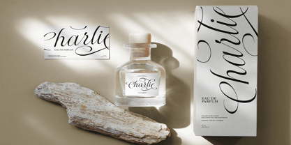 Radiate Script Font Poster 4