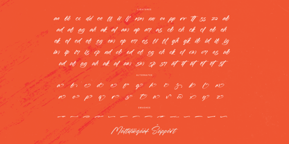 Fullgate Displant Font Poster 15