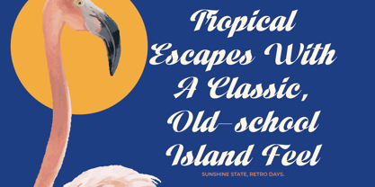 Vintage Charge Font Poster 11