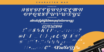Vintage Charge Font Poster 15
