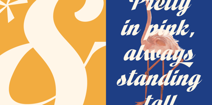 Vintage Charge Font Poster 13