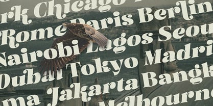 Mellora Font Poster 4