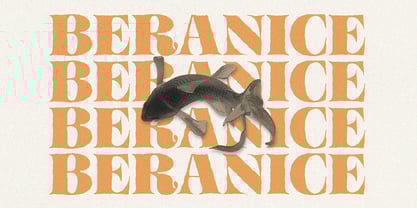 Mellora Font Poster 12