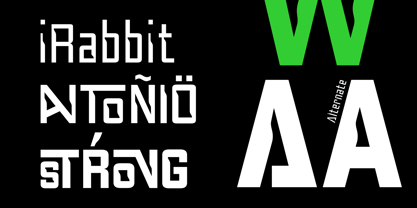 Anymspace Font Poster 2