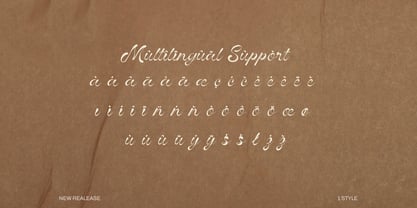 Vinecta Font Poster 5