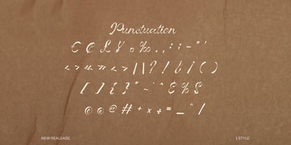Vinecta Font Poster 6