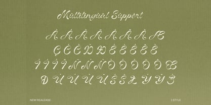 Vinecta Font Poster 4