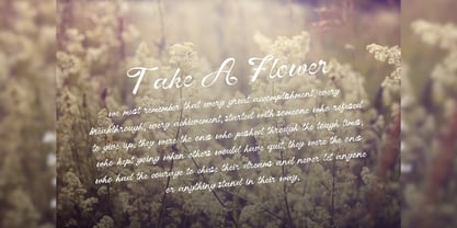 Vinecta Font Poster 12