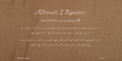 Vinecta Font Poster 7