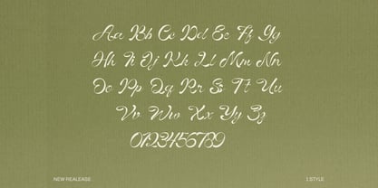 Vinecta Font Poster 3