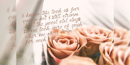 Vinecta Font Poster 9