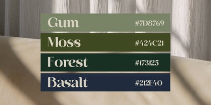 Basken Font Poster 6