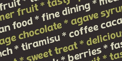 GL Galoki Font Poster 12