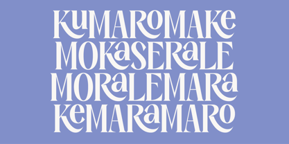 Kenora Groovy Font Poster 8