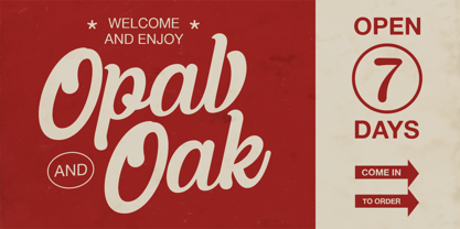 Bernfuls Script Font Poster 6