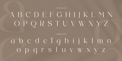 Anglera Font Poster 12