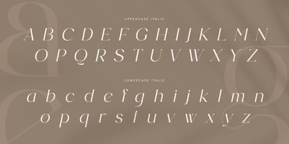 Anglera Font Poster 13