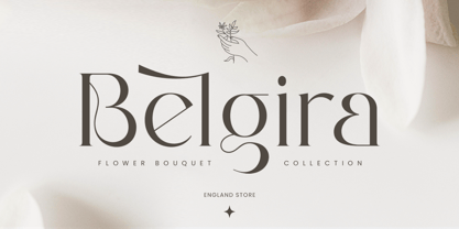 Anglera Font Poster 8