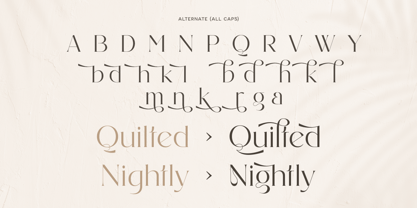 Anglera Font Poster 2