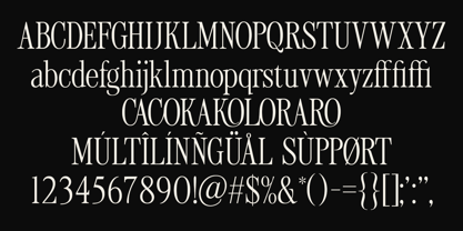 Tirone Font Poster 9