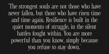 Tirone Font Poster 7