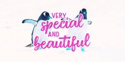 Diston Brush Font Poster 3