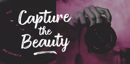 Diston Brush Font Poster 2