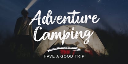 Diston Brush Font Poster 6