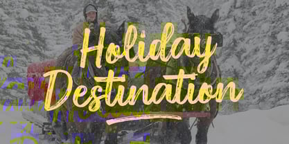 Diston Brush Font Poster 5