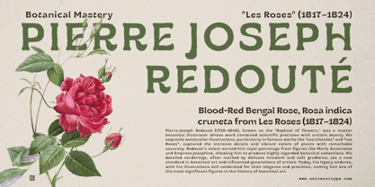 UT Ruganic Font Poster 2