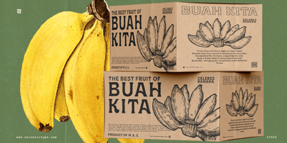 UT Ruganic Font Poster 4