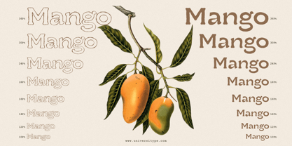 UT Ruganic Font Poster 5