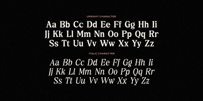 Essential Feeling Font Poster 5