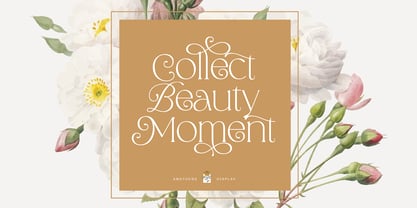 Anothers Display Font Poster 3