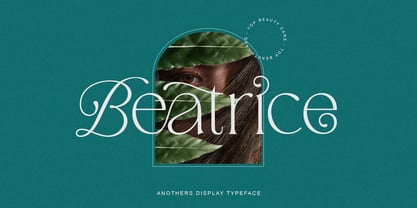 Anothers Display Font Poster 9